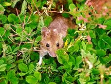 463633798_4359580357601743_6749471041263933950_n